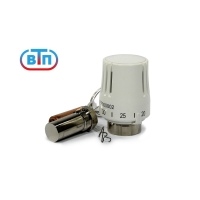 Термоголовка ТСГВД  с гильзой 16.45.20-50 с выносным погружным МИНИ датчиком